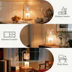 Candle warmer lamp features